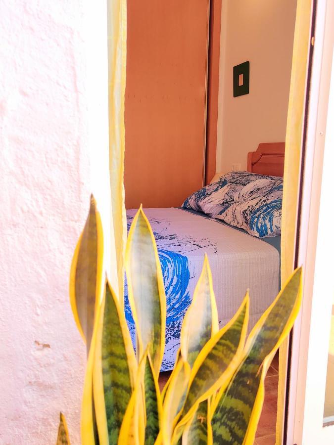 Villa Laguna - Your Duplex In The Sun! L'Île-Rousse Dış mekan fotoğraf